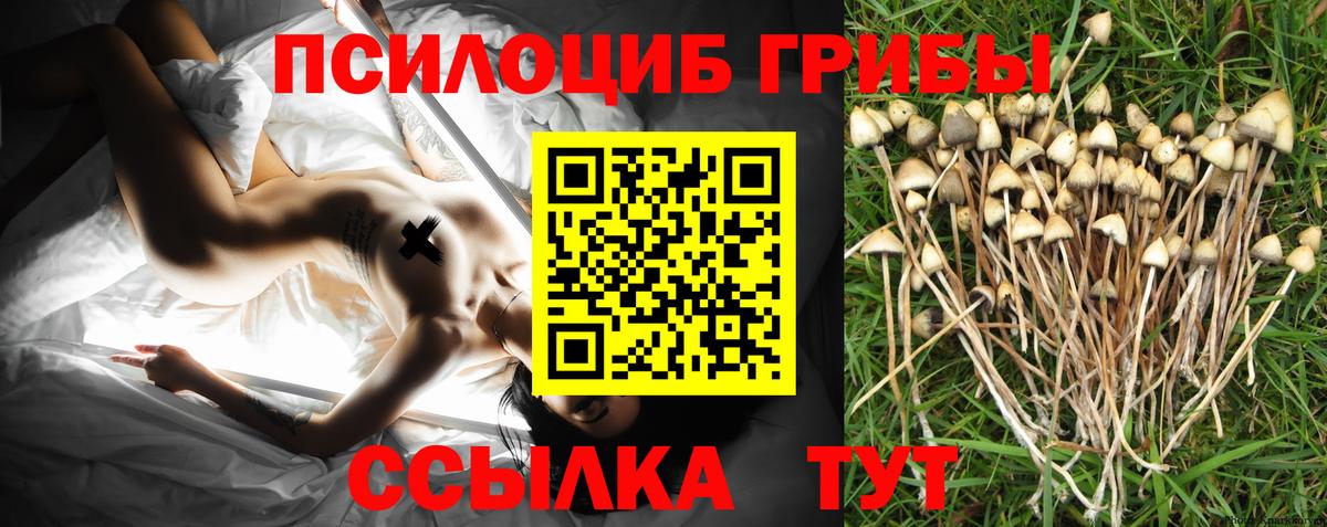 Белорецк  Галлюциногенные грибы Psilocybe  Вход с VPN 