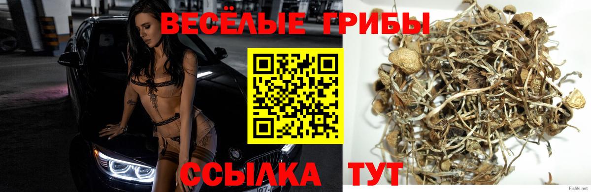 Псилоцибиновые грибы мухоморы Белорецк